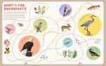 Backpack Explorer: Bird Watch: What Will You Find? - Image 6