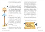The Backyard Bird-Lover's Guide: Attracting, Nesting, Feeding - Image 3