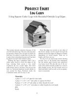 Easy-to-Build Birdhouses (Dover Crafts: Woodworking) - Image 12