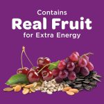 Kaytee Nut & Fruit Wild Bird Seed, 5 lb - Image 3