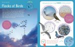 Backpack Explorer: Bird Watch: What Will You Find? - Image 7