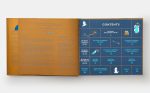 Seeing Stars: A Complete Guide to the 88 Constellations - Image 5