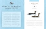 Bird Songs: 250 North American Birds in Song - Image 3
