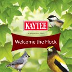 Kaytee Wild Bird Songbird Blend Food Seed, 7 Pound - Image 10