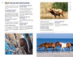 Moon USA RV Adventures: 25 Epic Routes (Travel Guide) - Image 5