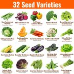Vegetable & Fruit Seeds, 32 Packs, Non-GMO, 15,000+ Seeds - Image 3