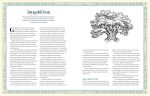 Our Family Tree: A Generational History - Image 3
