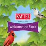 Kaytee Nut & Fruit Wild Bird Seed, 5 lb - Image 10