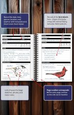 Birding Journal with Life List & Checklist A5 - Image 3