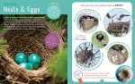 Backpack Explorer: Bird Watch: What Will You Find? - Image 10
