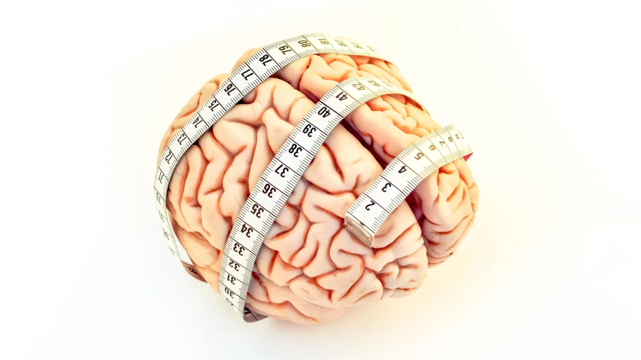 Watching too much TV in midlife may shrink the brain