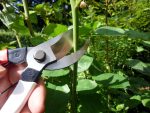 Okatsune 103 Bypass Pruners General Purpose Medium (One Pack) - Image 8