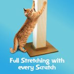 SmartCat Pioneer Pet Ultimate Scratching Post (Beige) - Image 4