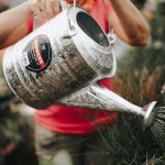 Behrens 2.5 Gallon Hot Dipped Steel Watering Can - Image 9