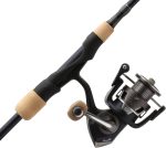 Pflueger President XT Spinning Reel and Fishing Rod Combo - Image 2