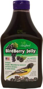 Songbird Essentials Bird Berry Jelly 20 Oz - Image 2