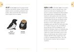 The Birding Dictionary - Image 4