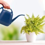 Fasmov Plastic Watering Can, Blue, 1-Gallon - Image 9