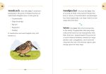The Birding Dictionary - Image 6