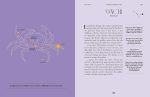 Constellations: A Guide for the Curious - Image 10