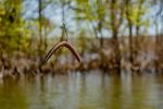 Yum Lures Dinger 5" Bulk 30-Pack - Image 8
