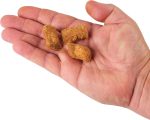 Berkley PowerBait Catfish Bait Chunks Fishing Dough Bait - Image 4