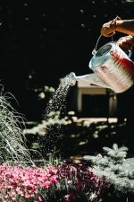 Behrens 2.5 Gallon Hot Dipped Steel Watering Can - Image 4