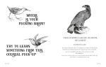 Effin' Birds: A Field Guide to Identification - Image 7