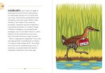 The Birding Dictionary - Image 10
