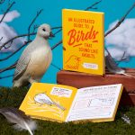 An Illustrated Guide to Birds that Sound like Insults - Image 8