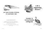 Effin' Birds: A Field Guide to Identification - Image 6