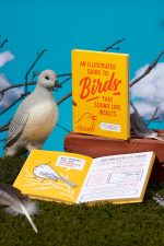 An Illustrated Guide to Birds that Sound like Insults - Image 9