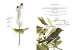 Effin' Birds: A Field Guide to Identification - Image 3