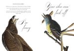 Effin' Birds: A Field Guide to Identification - Image 4