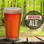 Mr. Beer American Ale Light 2 Gallon Homebrewing Refill - Image 3